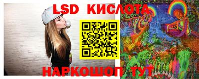прущие грибы Пушкино