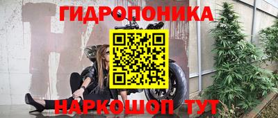 прущие грибы Пушкино