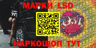 прущие грибы Пушкино
