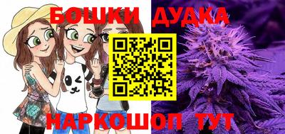 прущие грибы Пушкино